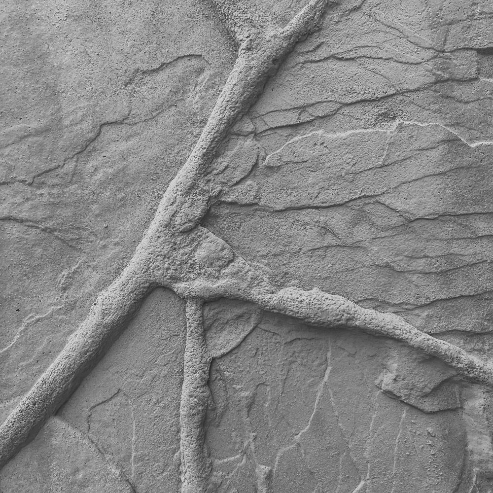 Striated Marble concrete curbing texture